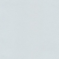 Ice Gray